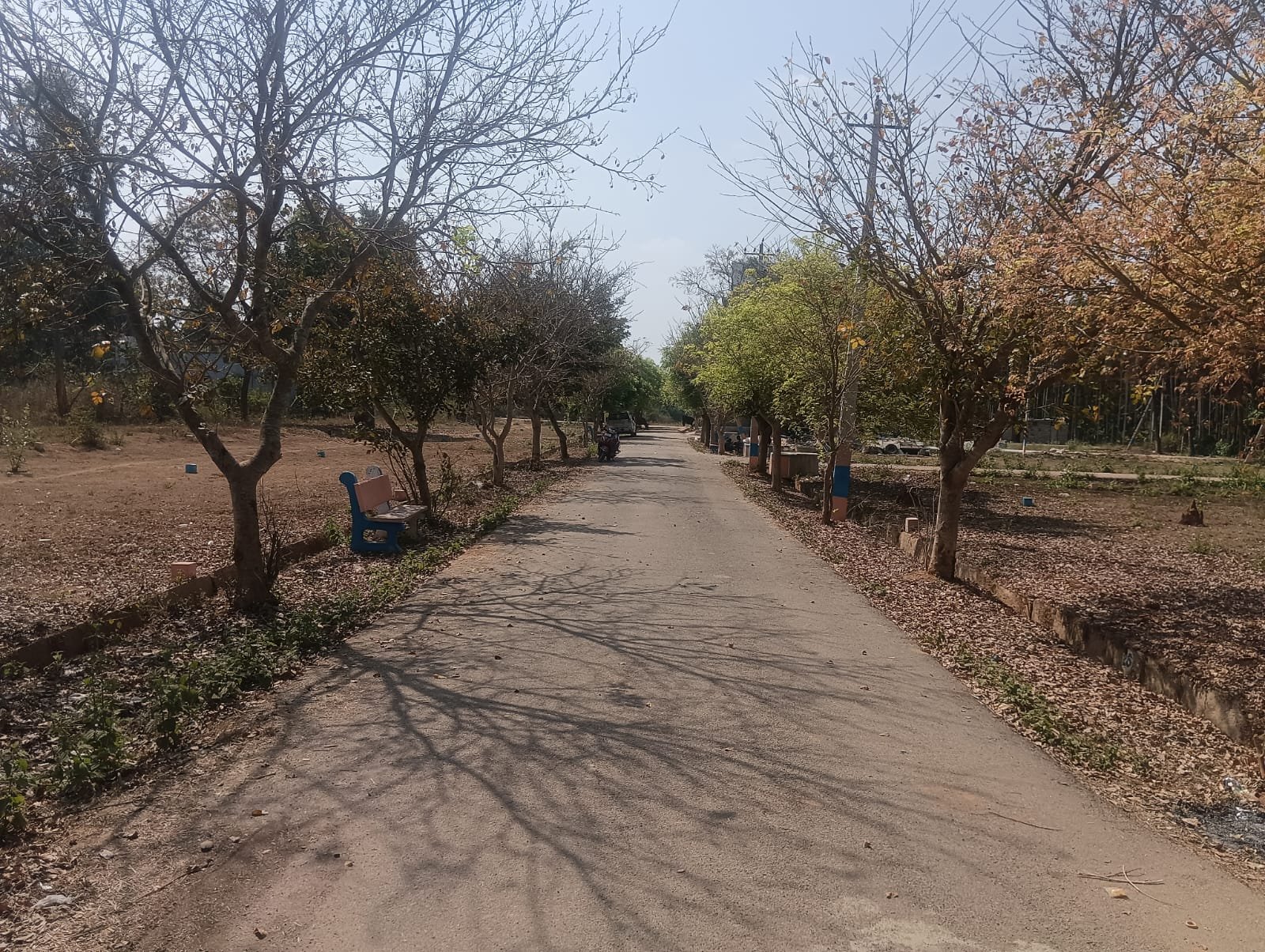 WhatsApp Image 2026-02-20 at 10.31.39 AM (1)